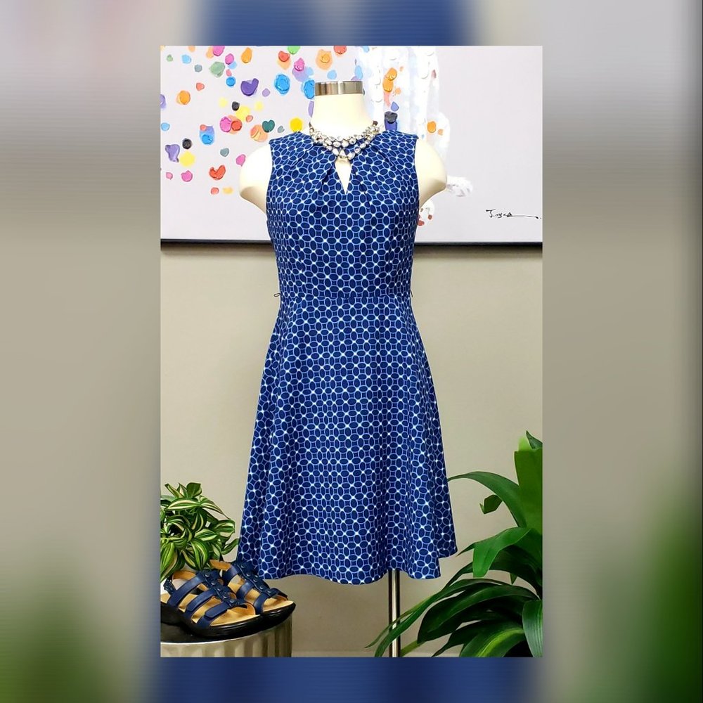 Signature Darby Sleeveless A-Line Fit and Flare Blue Patterned Dress Size 4